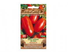 MoravoSeed sazenice rajče tyčkové SANMARO F1 hybrid na pole 65411