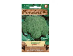MoravoSeed Brokolice APOLENA F1 - hybrid 60396