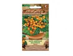 MoravoSeed sazenice rajče keříčkové balkónové VENUS oranžové 65362