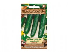 MoravoSeed sazenice okurka salátová SALADIN F1 hybrid do skleníku 64201