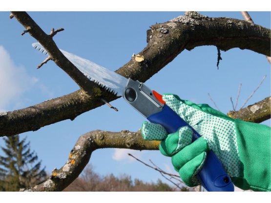 EXTOL PREMIUM pilka na větve zavírací, 210mm 8812250