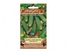 MoravoSeed Okurka nakládačka hruboostná ALHAMBRA F1 - hybrid 64046