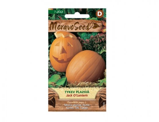 MoravoSeed Tykev plazivá JACK´O LANTERN 67305