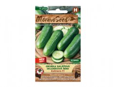 MoravoSeed sazenice okurka salátová do skleníku KALIMERO F1 64211