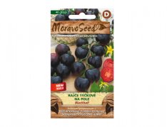 MoravoSeed sazenice rajče tyčkové BLACKBALL na pole 65315