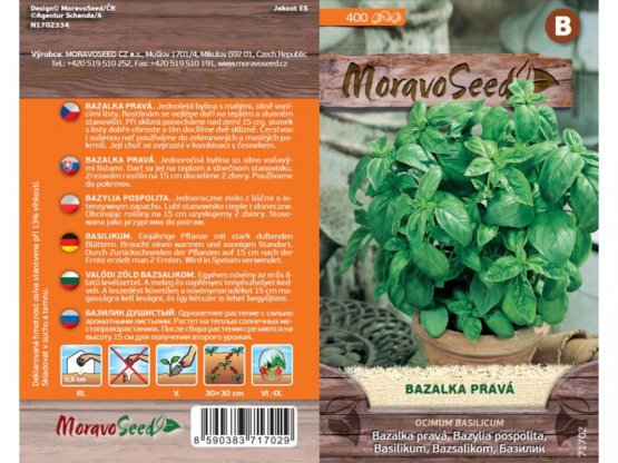 MoravoSeed Bazalka pravá, zelená 71702