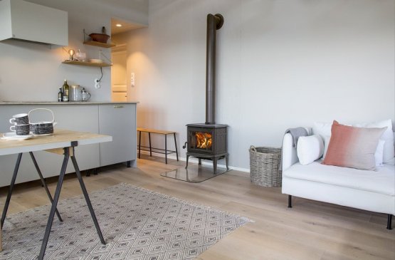 KAMNA JOTUL F 100 ECO.2 LL BP černý lak