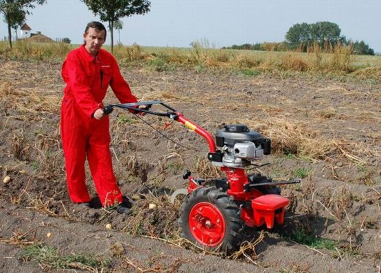 Vyorávač brambor při práci