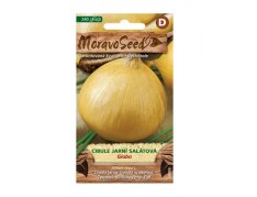 MoravoSeed Cibule jarní GLOBO, salátová 60889