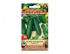 MoravoSeed sazenice okurka nakládačka jemnoostná APALOSA F1 hybrid 64095