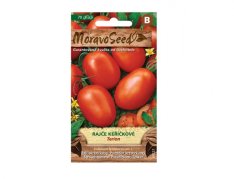 MoravoSeed sazenice rajče keříčkové TERION oválné 65527