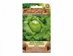 MoravoSeed Salát hlávkový ledový celoroční STAMIR 66356