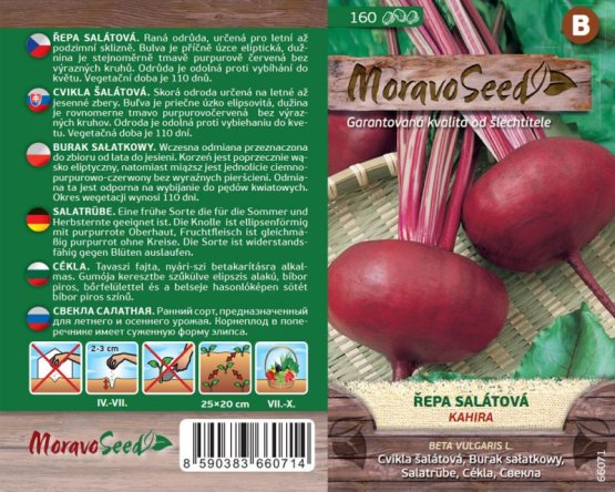 MoravoSeed Řepa salátová KAHIRA, plochá 66071