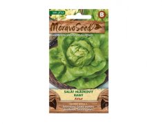 MoravoSeed Salát hlávkový raný AMUR 66313