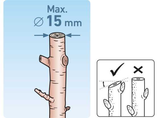 EXTOL PREMIUM nůžky zahradnické 205mm HCS 8872108
