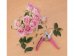 nůžky zahradnické na květiny, 180mm, Extol Lady