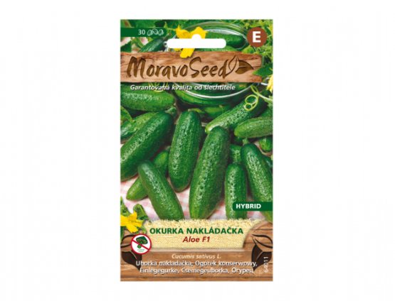 MoravoSeed Okurka nakládačka hruboostná ALOE F1 - hybrid 64011