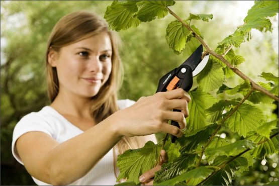 Fiskars nůžky zahradní dvoučepelové 1000567