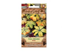 MoravoSeed Tykev okrasná DAISY 00889