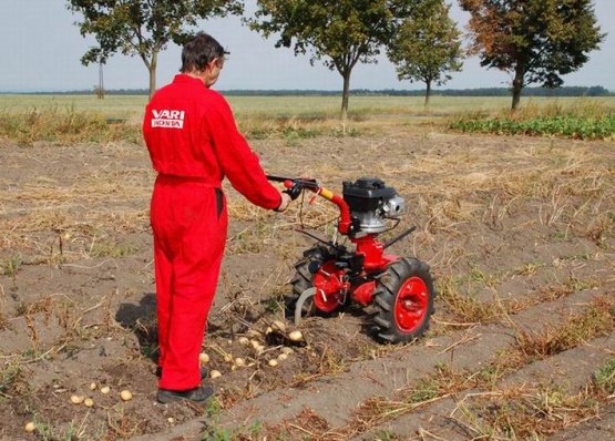 Vyorávač brambor při práci